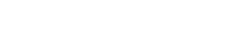 NSW logo — white (for dark backgrounds)